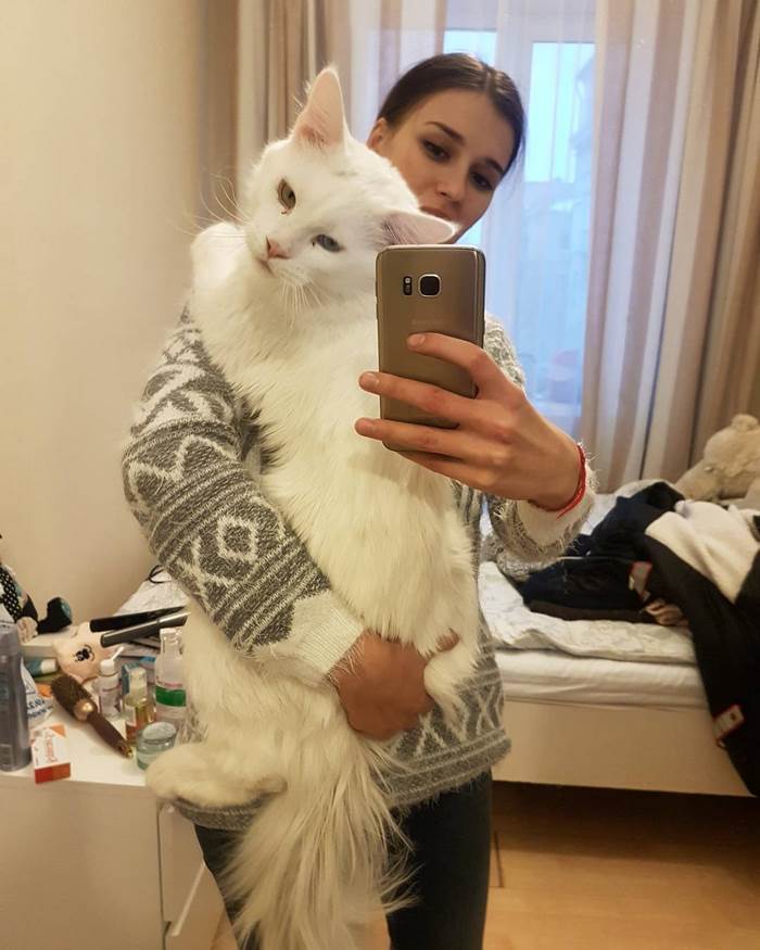 maine-coon-cat-hugs-owner-tihon-8