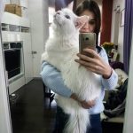 maine-coon-cat-hugs-owner-tihon-9