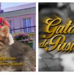 telenovela-cat-feature