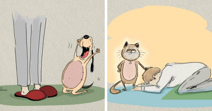 Featured-Cat-Vs-Dog-FB