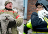 24 Firefighters Who Risked Their Lives To Save Cats