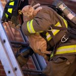 firefighters-rescue-cats-12