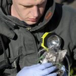 firefighters-rescue-cats-13