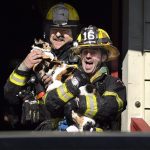 firefighters-rescue-cats-19