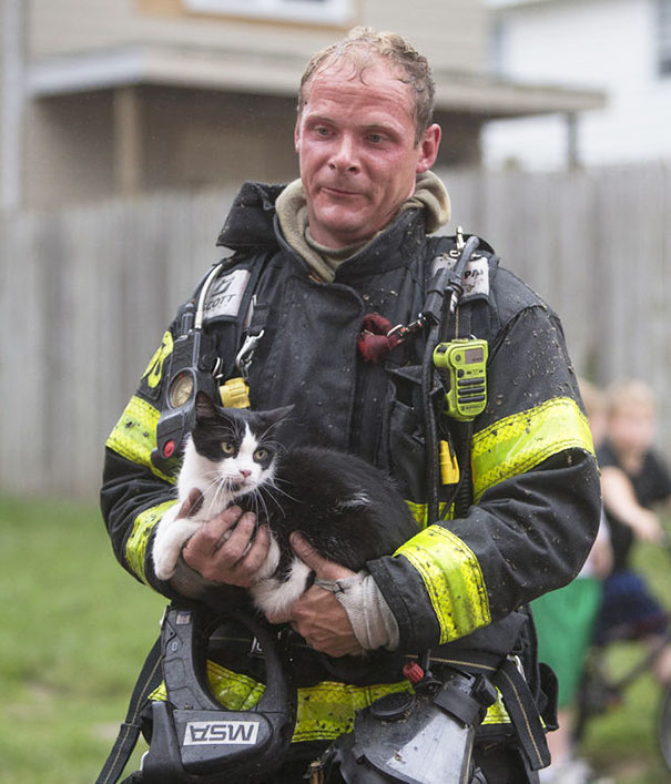 firefighters-rescue-cats-23
