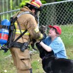 firefighters-rescue-cats-6