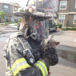 firefighters-rescue-cats-8