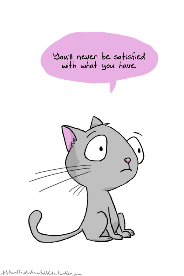 hard-truths-from-soft-cats-illustrations-22