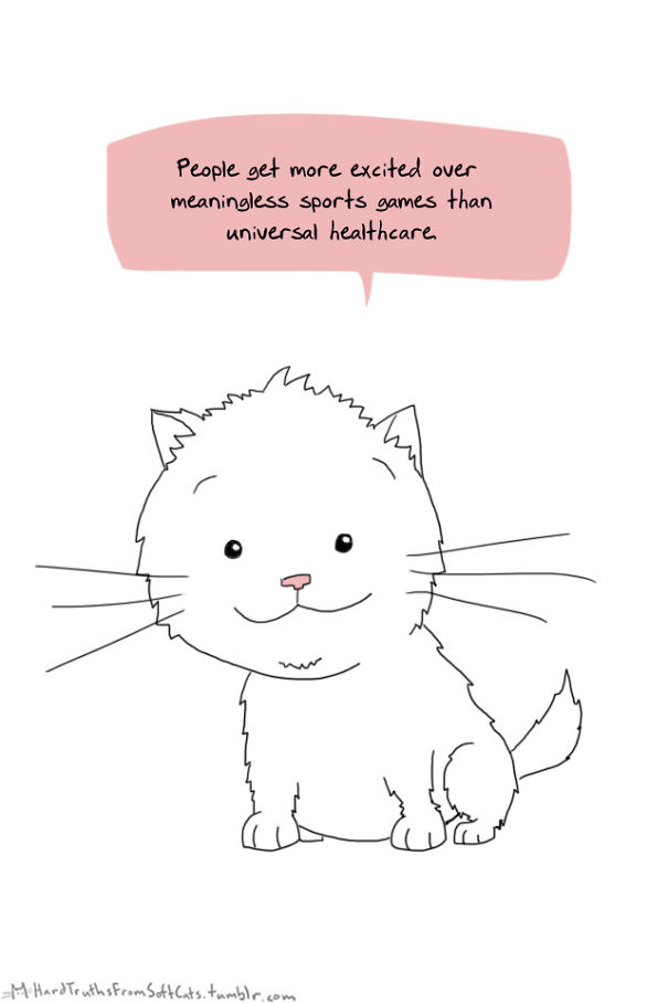 hard-truths-from-soft-cats-illustrations-26