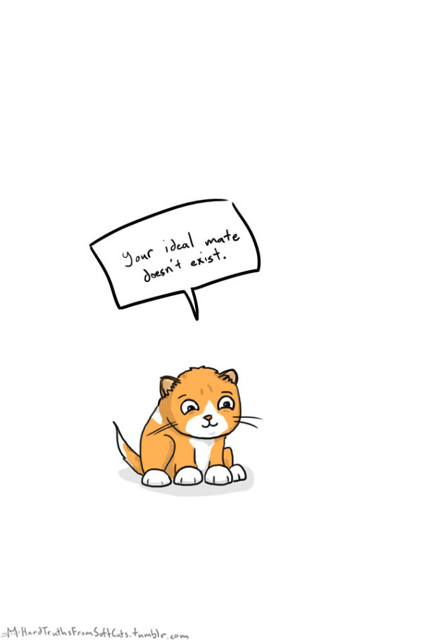 hard-truths-from-soft-cats-illustrations-29