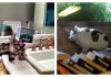 18 Cats That Prove Getting Stuck In Everything Is Completely Inevitable