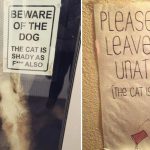 Featured-Cat-Signs-FB