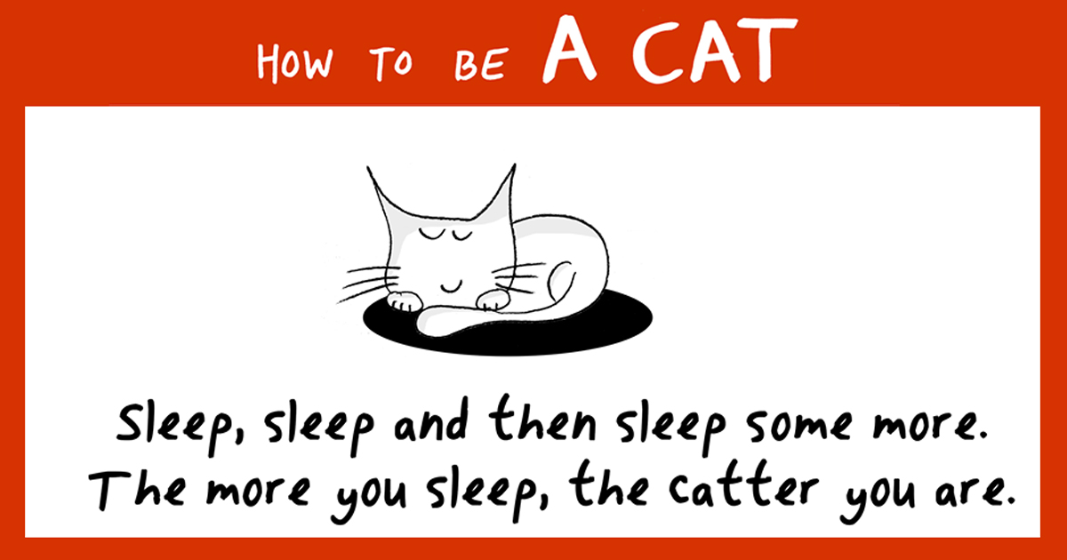 Got a cat перевод на русский. How to be a Cat. Кошка is how Speed. How to become a Cat. How to excite a Cat.
