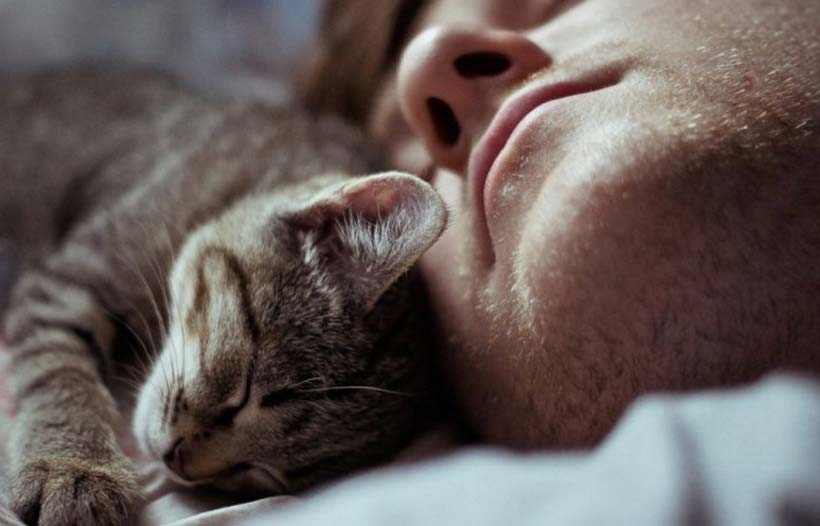Reasons-Kitty-Sleep-With-Us-1