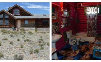 This Cat Cabin That Puts All "Cat People" To Shame…Whoa!