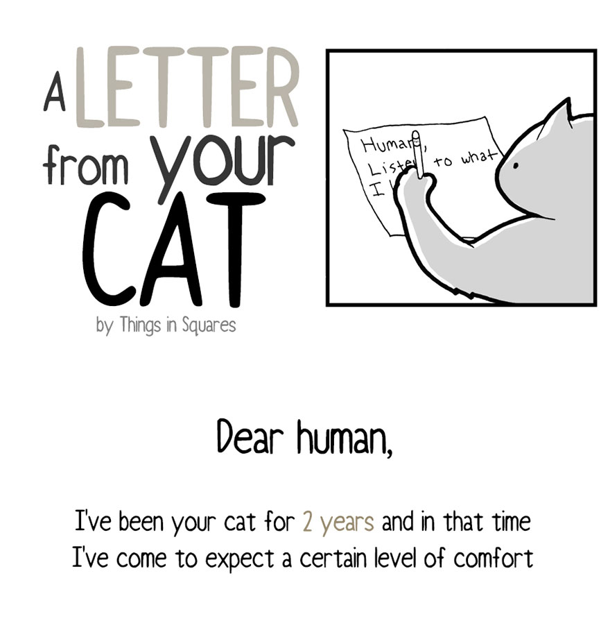 cat-letter-1