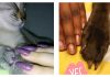 Teen Starts Viral Cat And Owner Matching Manicure Trend