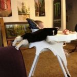 cat-master-thieves-05