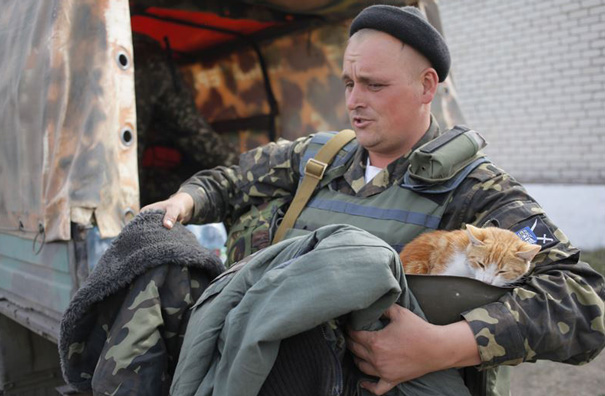 cats-and-soldiers-19