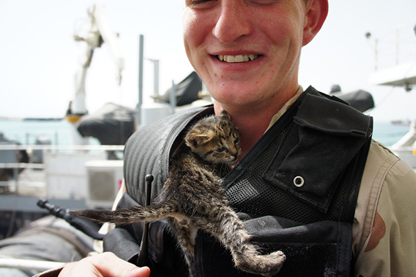 cats-and-soldiers-21