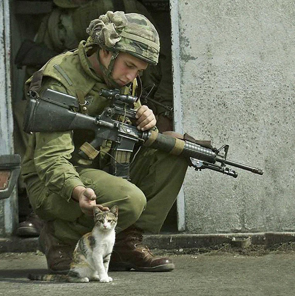 cats-and-soldiers-22