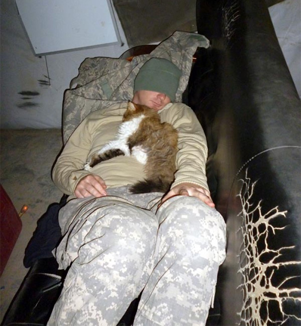 cats-and-soldiers-27