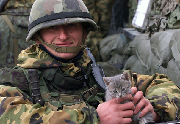 cats-and-soldiers-28