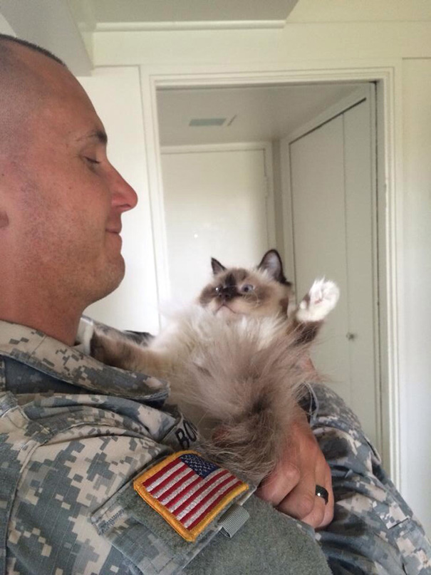 cats-and-soldiers-29