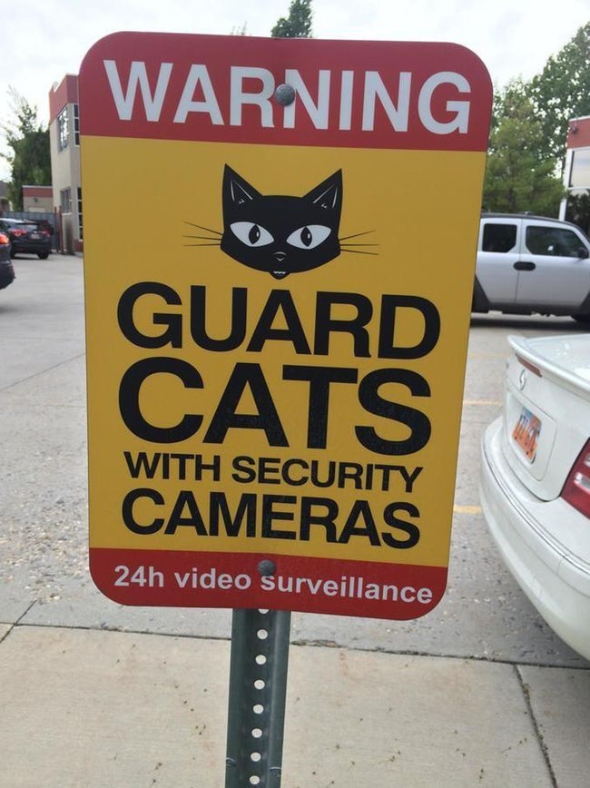 funny-cat-signs-09