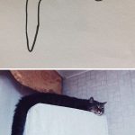 funny-poorly-drawn-cats-1