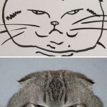 funny-poorly-drawn-cats-10