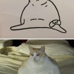 funny-poorly-drawn-cats-12