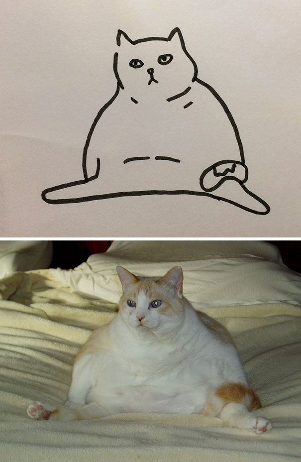 funny-poorly-drawn-cats-12
