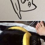 funny-poorly-drawn-cats-13