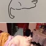 funny-poorly-drawn-cats-14