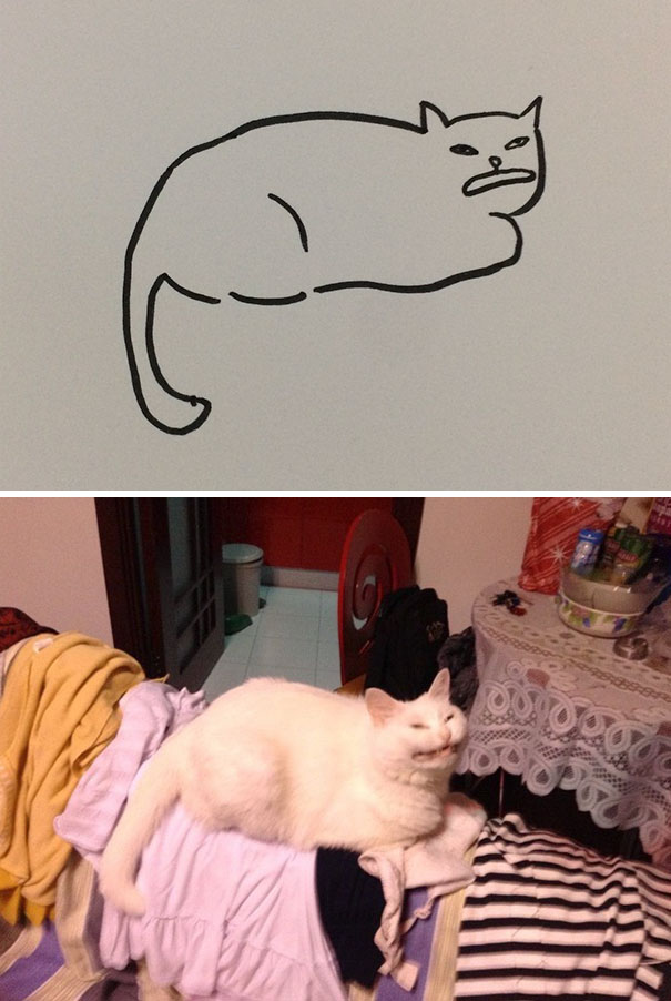 funny-poorly-drawn-cats-14