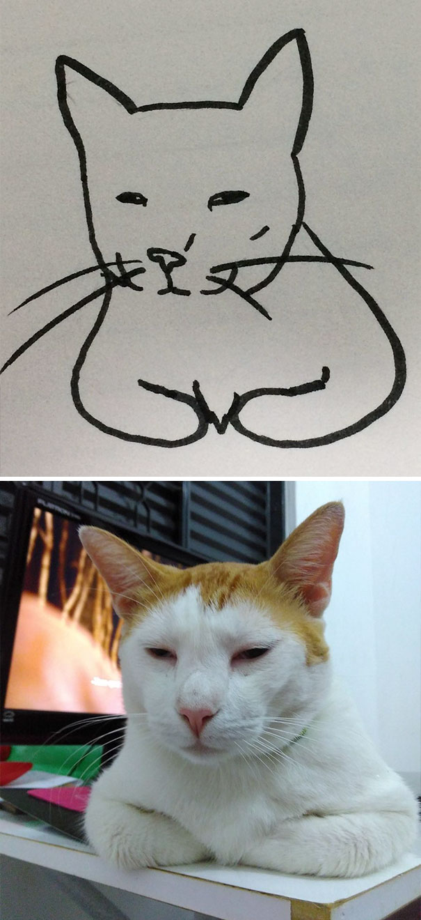 funny-poorly-drawn-cats-15 | Catlov
