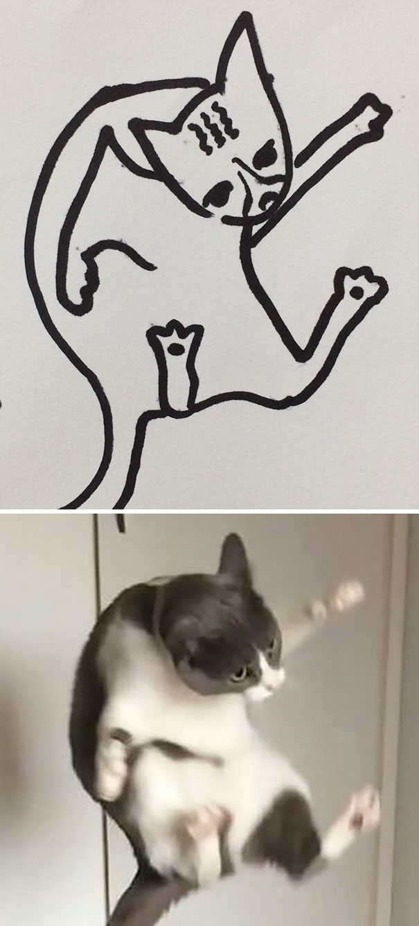 funny-poorly-drawn-cats-16