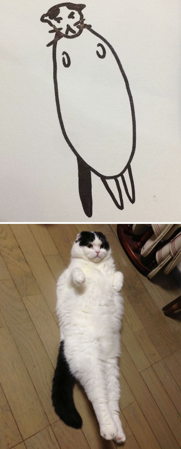 funny-poorly-drawn-cats-18