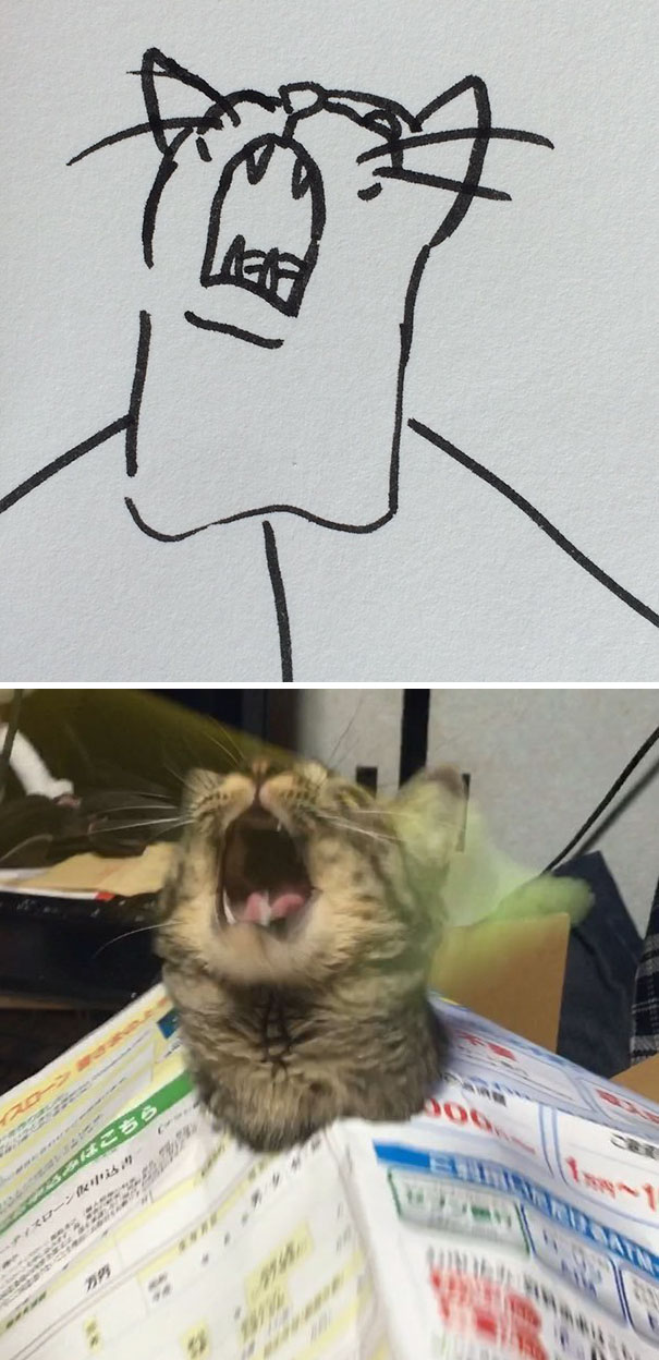 funny-poorly-drawn-cats-19