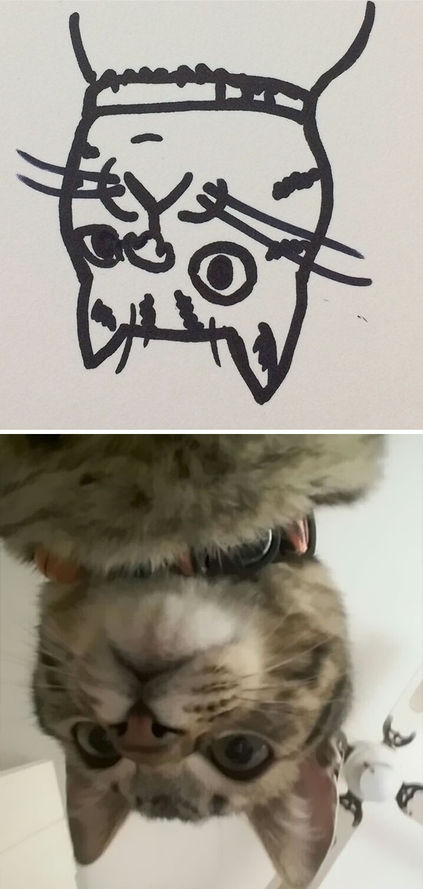funny-poorly-drawn-cats-20