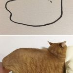 funny-poorly-drawn-cats-22