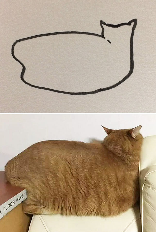 funny-poorly-drawn-cats-22