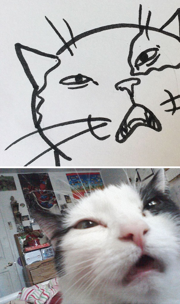 funny-poorly-drawn-cats-23