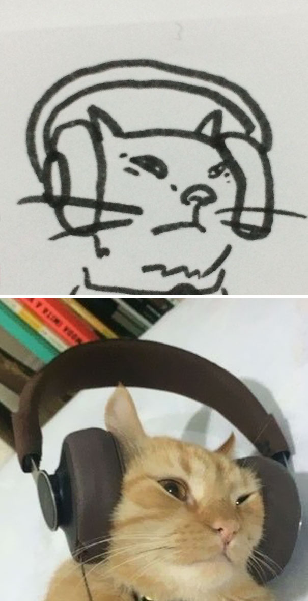 funny-poorly-drawn-cats-25