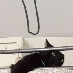 funny-poorly-drawn-cats-9