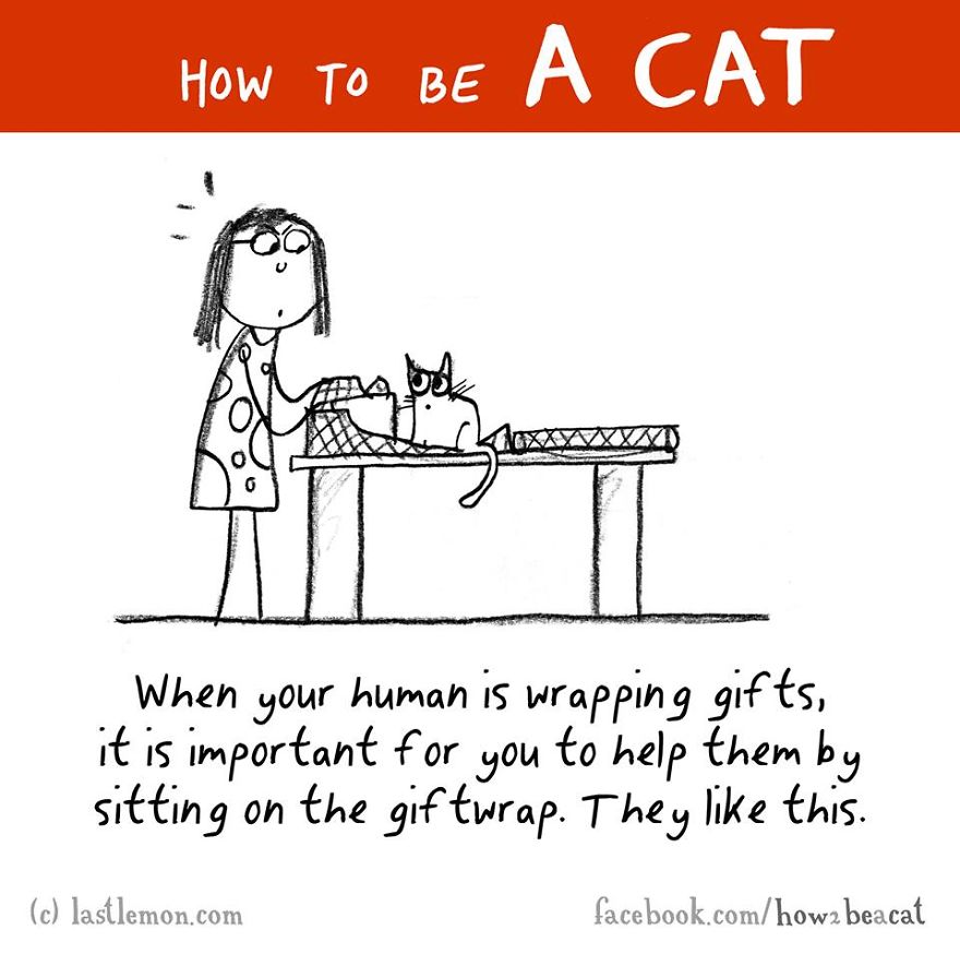 how-to-be-a-cat-funny-illustration-last-lemon-13