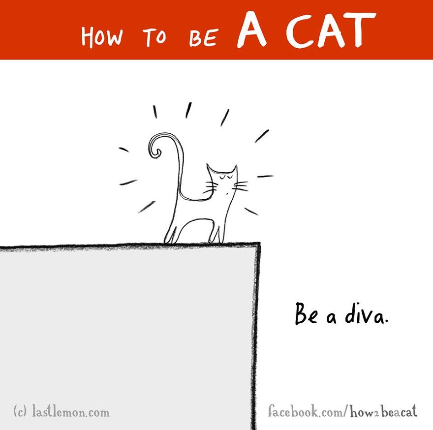 how-to-be-a-cat-funny-illustration-last-lemon-17