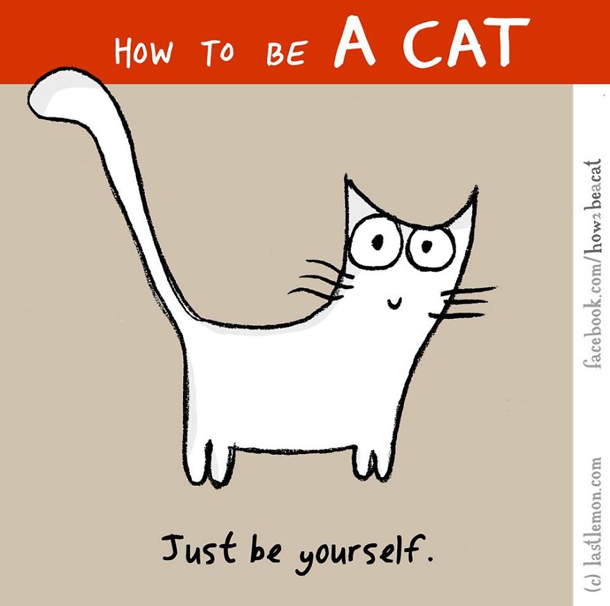 how-to-be-a-cat-funny-illustration-last-lemon-21
