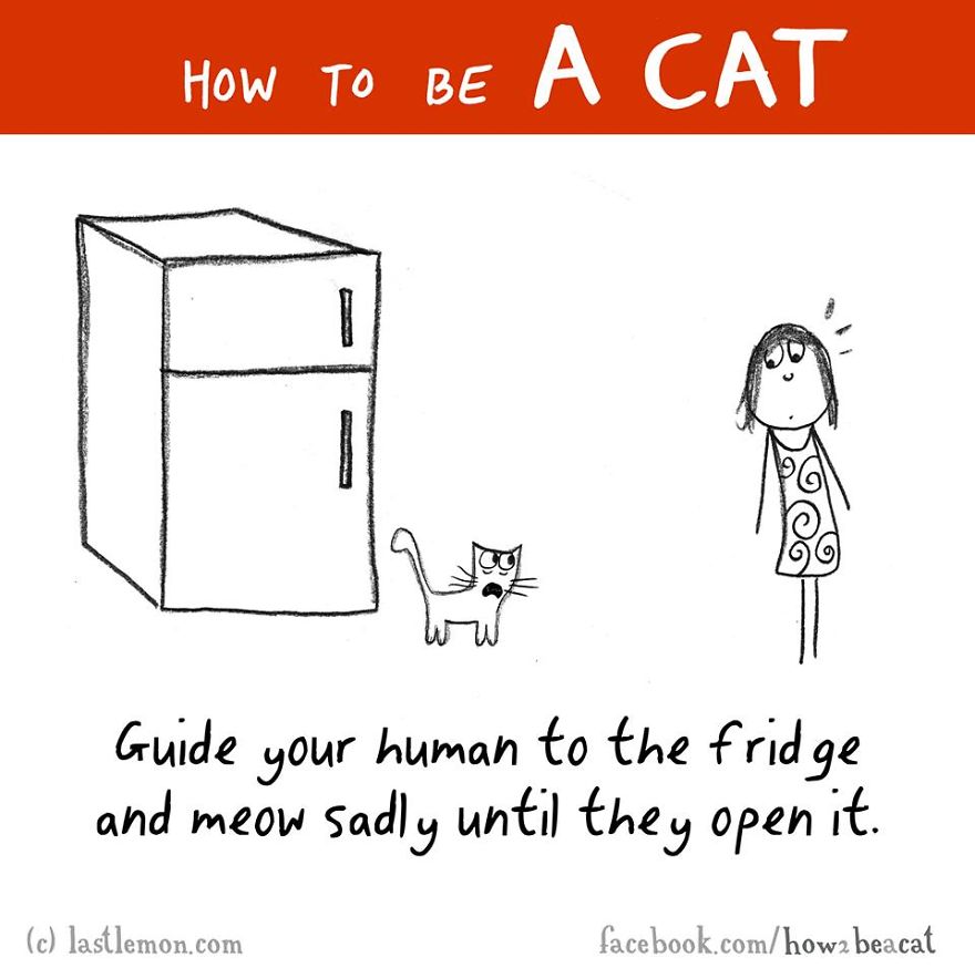how-to-be-a-cat-funny-illustration-last-lemon-22